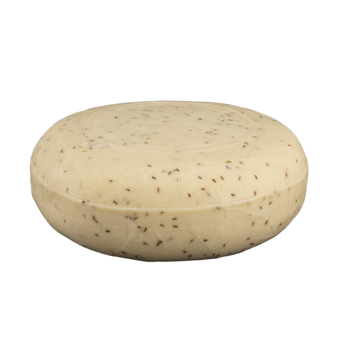 Le Bergeron Classique Cumin